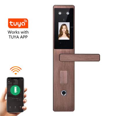 China Zigbee Tuya APP Tuya Wifi Password Keyless Face Recognition Smart Door Lock for sale