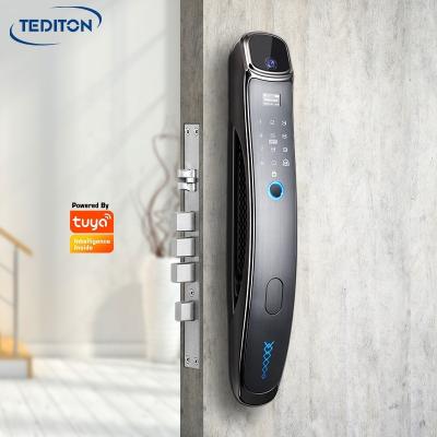 China Aluminum Alloy Tediton Smart 3D Face Recognition Camera Automatic Smart Lock Smart Lock with Tuya APP for sale