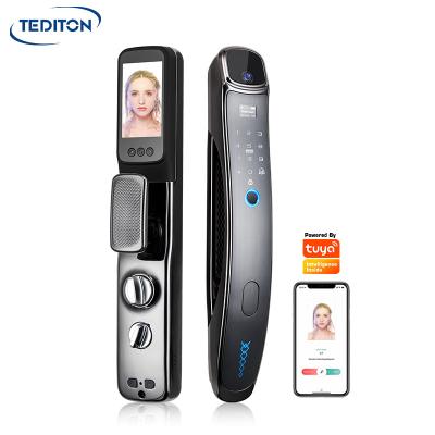 China 291pcs Tediton Wholesale Price Tuya App Cerradura Auto Fingerprint Smart Door Lock With Camera for sale