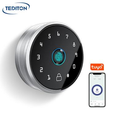 China Tediton 5-in-1 Entry Aluminum Alloy Door Lock Digital Keyless Automatic Deadbolt Smart Tuya Lock for sale