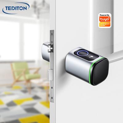 China Aluminum alloy+Pure brass+SUS304 Tediton Tuya APP Remote Open Biometric Smart Digital Door Lock Cylinder For Home Apartme for sale