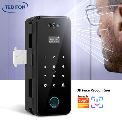 China 250pcs Tediton Electronic Smart Remote Control Frameless Fingerprint Glass Door Lock With Key for sale