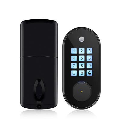 China 10 Code User Tediton Automatic Keyless Entry Lock Smart Deadbolt Lock For Home Office Garage for sale