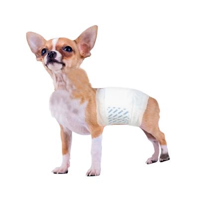 China DONO Sustainable Dog Shorts Disposable Doggie Diaper Durable Comfortable Stylish Dog Pants Wraps For Male Dogs for sale