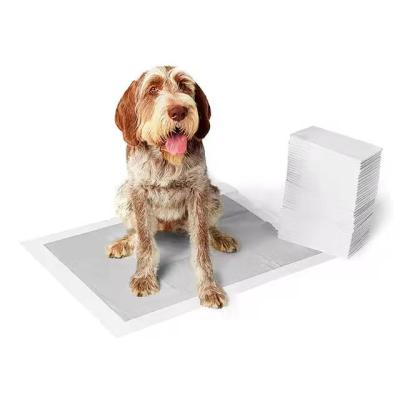 China Hot Selling Viable Carbon Disposable Dono Pet Puppy Pads Dog Wee Pad Puppy Training Disposable Super Absorbent Pads for sale