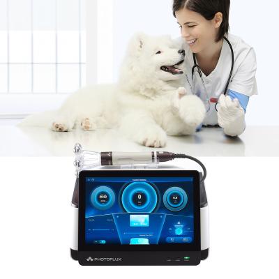 China Irradiation Phomed Class IV high power laser veterinary laser therapy equipment 980nm 30w 60w laser for pain relief cats dogs horse therapy for sale