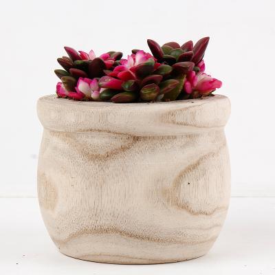 China Round Pastoral Decorative Wood Indoor Planters Plant Pots Table Pots, Decor Home and Hotel Room and Garden Natural Wood for sale