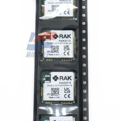 Cina YJJ RAK3172 Modulo LoRa Standard LoRaWAN Protocollo basso consumo di energia in vendita