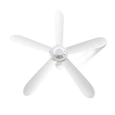 China Modern simple kitchen electric fan energy saving cheap ceiling fan for sale