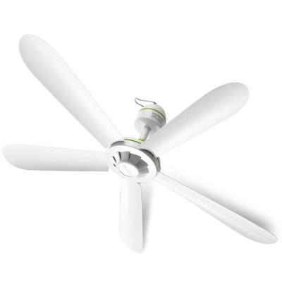 China hotel whosale energy saving luxury ceiling fan for sale