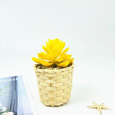 China Modern Bamboo Base Plant Home Artificial Succulent Decoration for sale