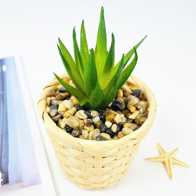 China Modern Home Decoration Manufacturer With Artificial Succulent Plants Decoration for sale