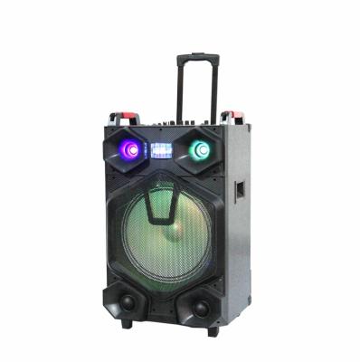 China Wireless Wholesale High Power Trolley Big Bass Portable Karaoke DJ Party Rechargeable Wooden Speaker for sale