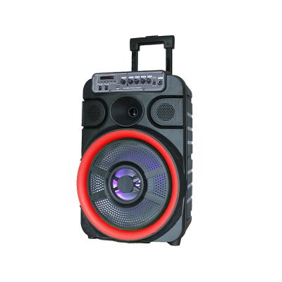 China Colorful LED Light Large Bass 12