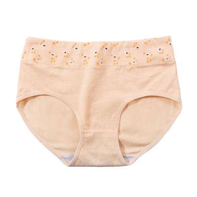 China Factory Antibacterial Girls Wearing Seamless Breathable Underwear Cotton Panties For Women for sale