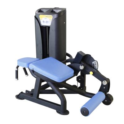 China Commercial Use Commercial Use Strength Gym Fitness Equipment Body Building Prone Leg Curl for sale