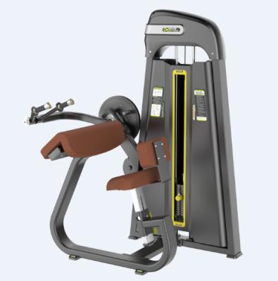 China Newest Strong Abdominal Exerciser Biceps Curl Machine Body Fitness Equipment For Sale for sale