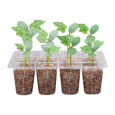 China 6/12holes Nursery Tray Seedling Seedling Starter Garden Yard Garden Pot Nursery Tray Grow Box Plant Seed Plastic Nursery Flower Pot for sale