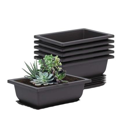 China Nursery Pots 10 Pack Bonsai Plant Pots With Tray Plastic Nursery Bonsai Plants Flower Pot For Garden Yard Living Room Balcony 16.5X12cm for sale