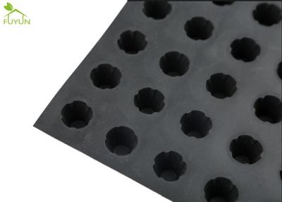 China Dimple 1400gsm Geocomposite Drainage Board , HDPE Geocomposite Sheet Drain for sale