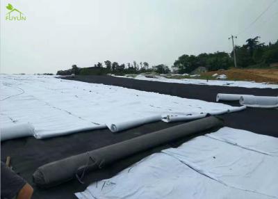 China Geotextile Project Impermeable Membrane Municipal Infrastructure Construction for sale