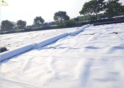 China 250g Geotextile Project Impermeable Waterproof For Municipal Infrastructure for sale