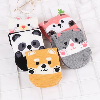 China Sporty summer knitted female panda cute happy animal funny cat short sock ankle socks for women for sale