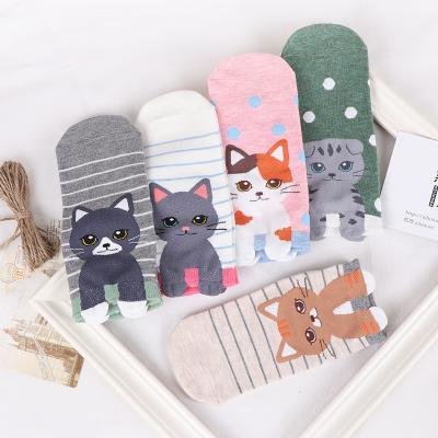 China Lovely Cat Socks Summer Women Crew Socks Funny Happy Girls Animal Short High Quality Sports Socks for sale