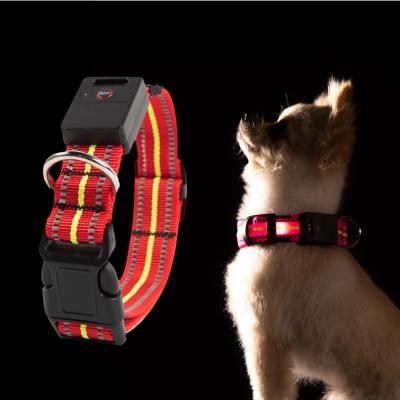 China Reflective Light USB Rechargeable Flashing Safety Led Dog Collar Led USB Solar Led Collar for sale