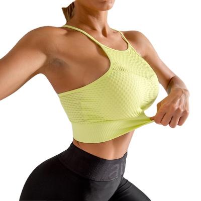 China Sexy Women's Breathable Custom Private Label Sports Bra Yoga Gym Wear Seamless Crop Top for sale