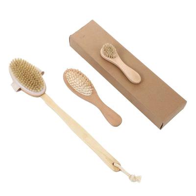 China All Natural Bath Brush Set-Natural Lotus Boar Bristle Brush 3pcs and Airbag Brush for sale