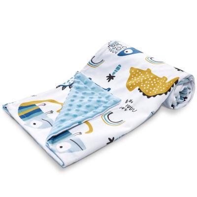 China 2 Ply Super Soft Baby Blanket Super Soft MOQ Non-Toxic Cheap Price Small Wrap for sale