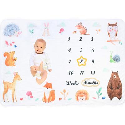 China Non-toxic Hot Sale Cute Baby Milestone Monthly Blanket For Photography Newborn Baby for sale