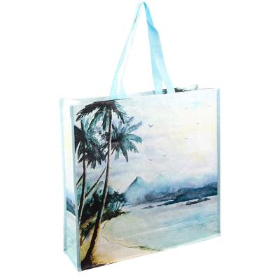 China Custom Printed PP Woven Laminated PP Woven Shopping Bag Promotional Hot Sale Recyclable Eco Friendly Logo Shopping Bag Eco-Friendly for sale