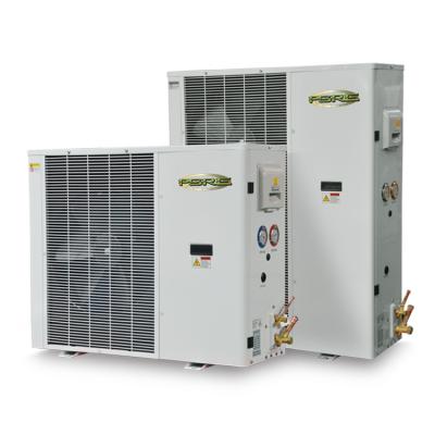 China Medium Low / High Temperature Cold Room High Performance Cold Room DC Refrigeration Inverter Compressor for sale