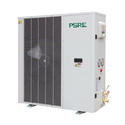 China Medium And Quiet Energy Efficient Low / High Temperature Chamber Inverter DC Condensing Unit High Quality For Supermarket for sale