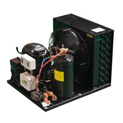 China Other Open Type Refrigeration R404a 1hp Small Compressor Condensing Unit for sale