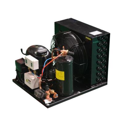 China Other Open Type Compressor Factory Supply Refrigeration Equipment Condensing Unit for sale