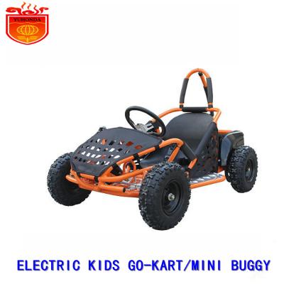 China Electric Karting Car EV Go Kart Mini Dune Buggy GO KART 6