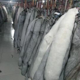 Verified China supplier - Zaoqiang County Daying Town Qiuliangli Fur Factory