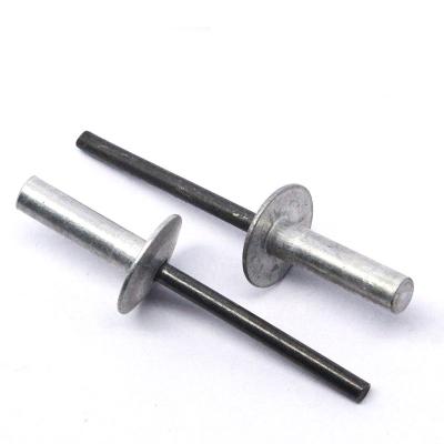 China Blind Rivet Professional Standard Aluminum Rivet Large Aluminum Head for sale