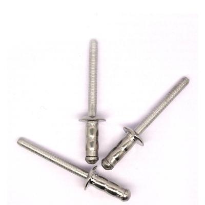 China Professional Dongguan Stainless Steel Rivet Multi Arched Head Handle Blind Rivet for sale