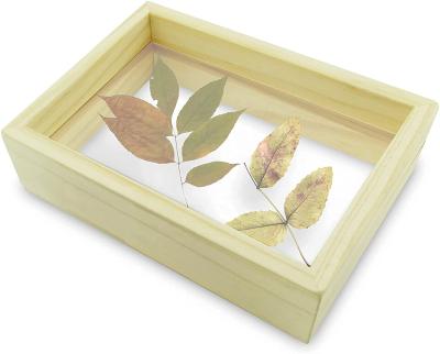 China Modern Sleek Plant Picture Frame, Wood Suitable for Plant Specimens, Insect Desktop or Wall Mounted Photo Model Display for sale