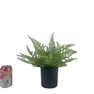 China Green Plant Leaf Persian Potted Fern Bonsai Trees Eco-friendly Simulated Landscape Indoor Landscaping and Decoration Greening Environment for sale