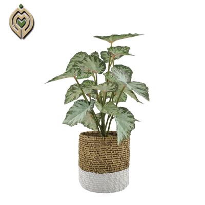 China Wholesale best price potted plant eco-friendly artificial real leaf eco-friendly for home decor for sale