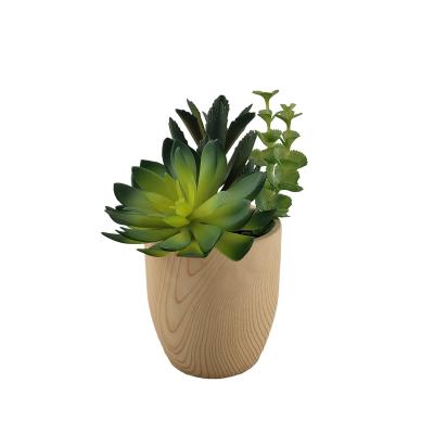 China Realistic plant wholesale succulents simulate green house decoration for simple home decoration and garden wedding decoration for sale