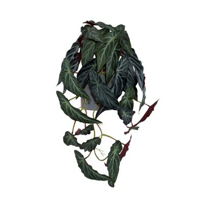 China Centerpiece Realistic Home Indoor Plant Wall Art Artificial Begonia Leaf Plant Artificial Wedding Decoration for sale