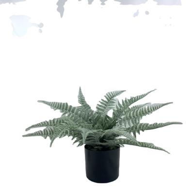 China Decoration Tropical Plant Fern Green Plant Artificial Desktop Bonsai Simulation Environment-friendly Artificial Potted Wedding Decoration for sale