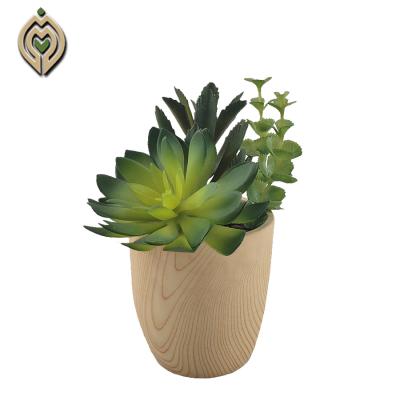 China Wholesale High Quality Environmental Friendly Real Touch Plant Artificial Succulent Bonsai For Home Decor for sale