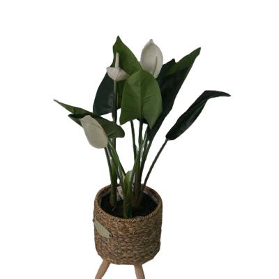 China Eco-friendly artificial white flower palm potted plastic green anthurium bonsai set in living room hotel for sale